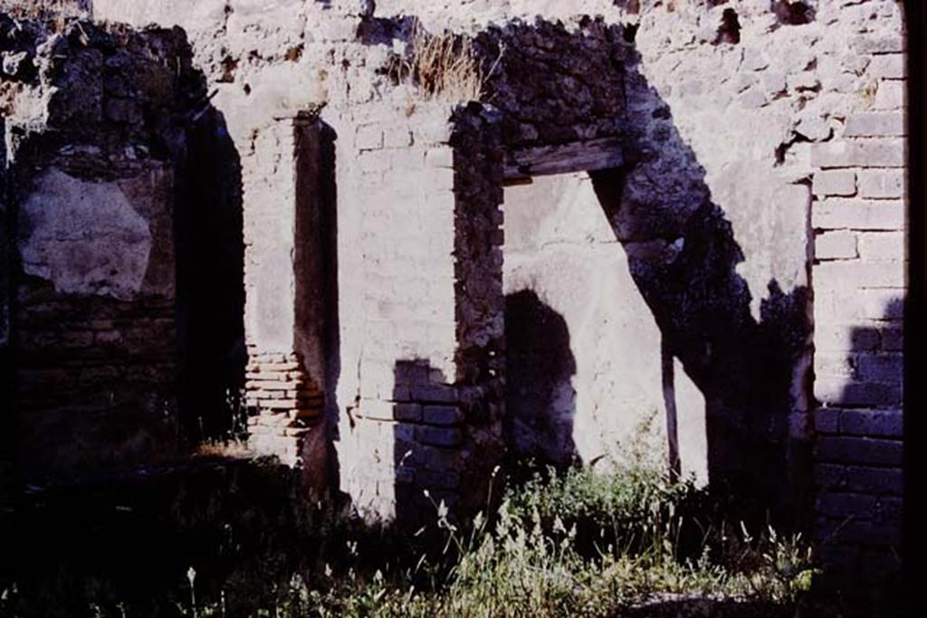 VII.11.14 Pompeii, 1978. North-east corner of garden area “A”, with step (under weeds on right) to entrance passageway, room 1. Photo by Stanley A. Jashemski.
Source: The Wilhelmina and Stanley A. Jashemski archive in the University of Maryland Library, Special Collections (See collection page) and made available under the Creative Commons Attribution-Non Commercial License v.4. See Licence and use details. J78f0106