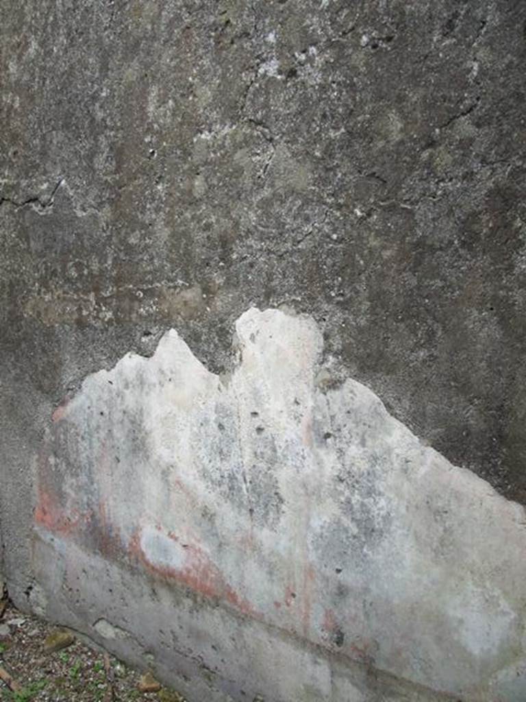 VII.11.14 Pompeii. March 2009. Room 3. Triclinium. East wall.