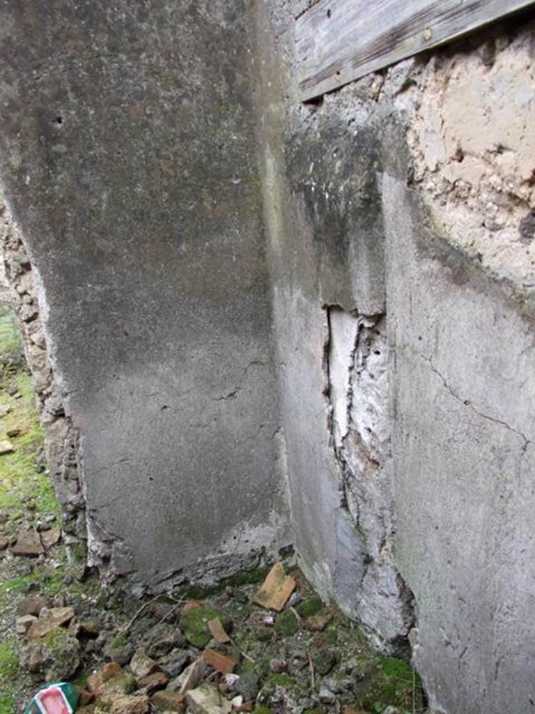 VII.11.14 Pompeii. March 2009. Room 6. Oecus. South wall.