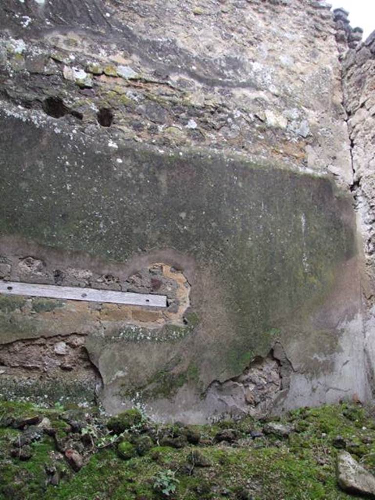 VII.11.14 Pompeii. March 2009. Room 6. Oecus. West wall.