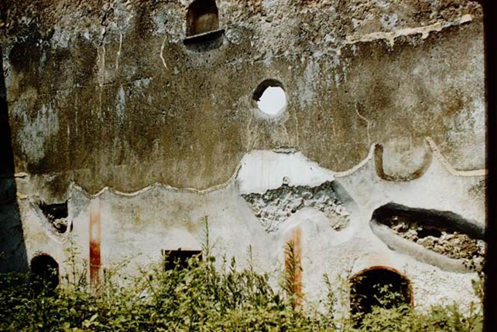 VII.12.23 Pompeii. 1959. North wall of garden area.  Photo by Stanley A. Jashemski.
Source: The Wilhelmina and Stanley A. Jashemski archive in the University of Maryland Library, Special Collections (See collection page) and made available under the Creative Commons Attribution-Non Commercial License v.4. See Licence and use details.
J59f0109
