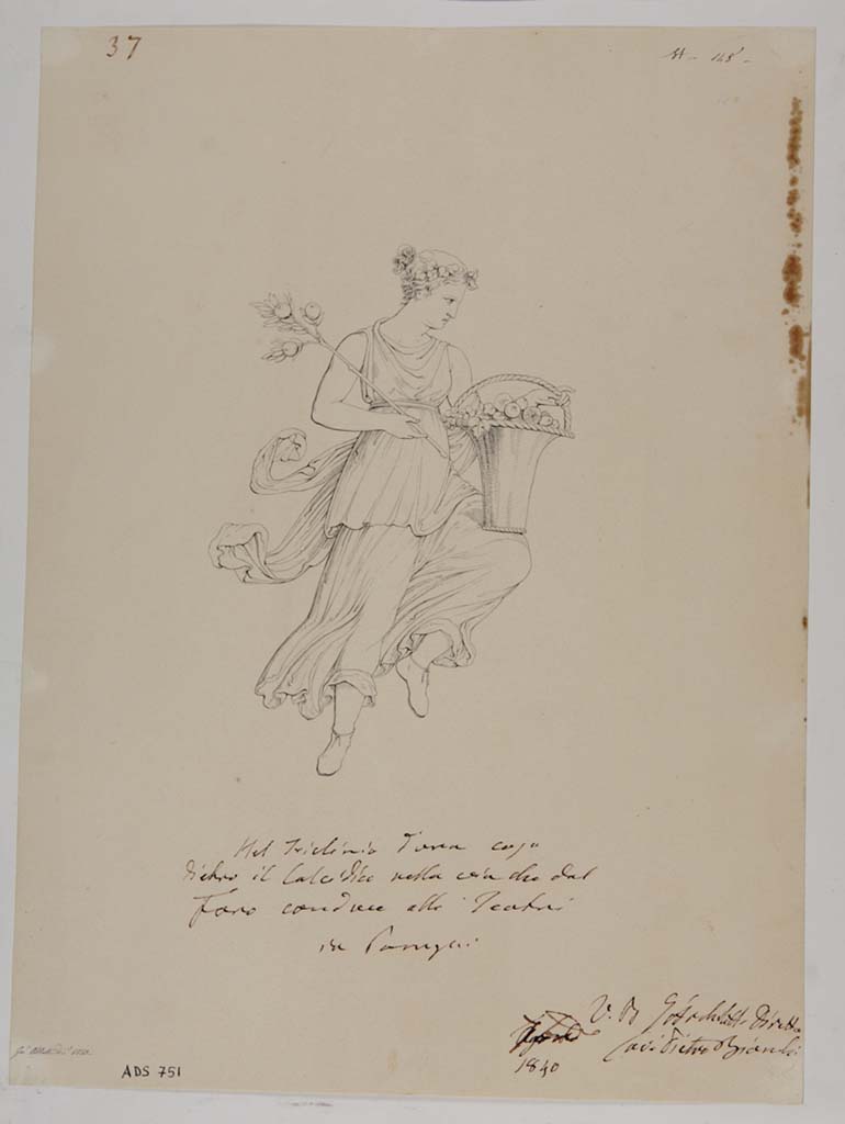 VII.13.4 Pompeii. Drawing by Giuseppe Abbate, 1840, of painting seen on wall of oecus/cubiculum.
This drawing has been described as Spring, but fits the description of Autumn better -
�Autumn crowned with vine-leaves, with a branch and a basket of fruit�. 
Now in Naples Archaeological Museum. Inventory number ADS 751.
Photo � ICCD. http://www.catalogo.beniculturali.it
Utilizzabili alle condizioni della licenza Attribuzione - Non commerciale - Condividi allo stesso modo 2.5 Italia (CC BY-NC-SA 2.5 IT)
