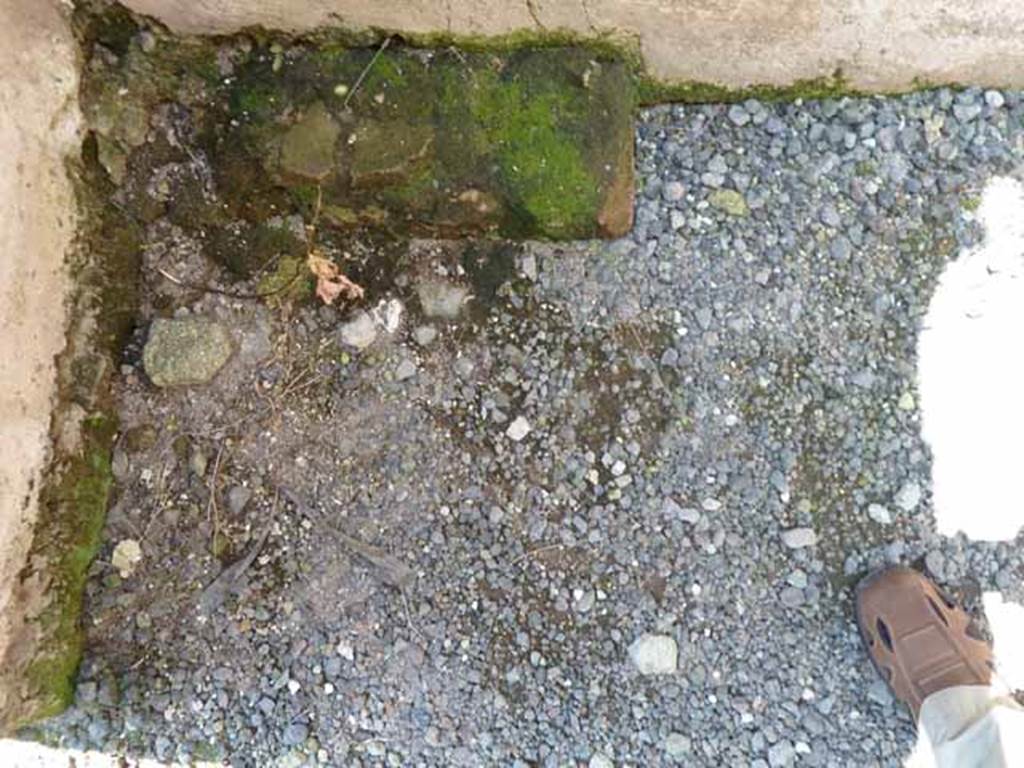 201005%20Card%2006%20076