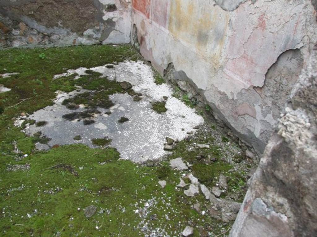 VII.14.5 Pompeii.  March 2009. Room 3. Floor.