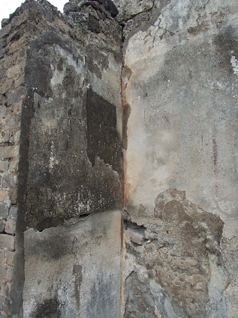 VII.14.5 Pompeii. March 2009. Room 8, north-west corner.
