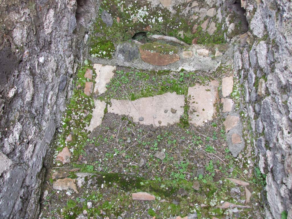 VII.14.5 Pompeii. March 2009. Room 19, floor of latrine.