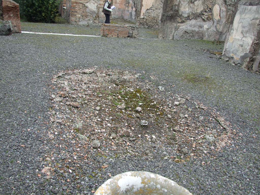 VII.14.5 Pompeii. March 2009. Room 1, atrium with remains of impluvium. Looking north.