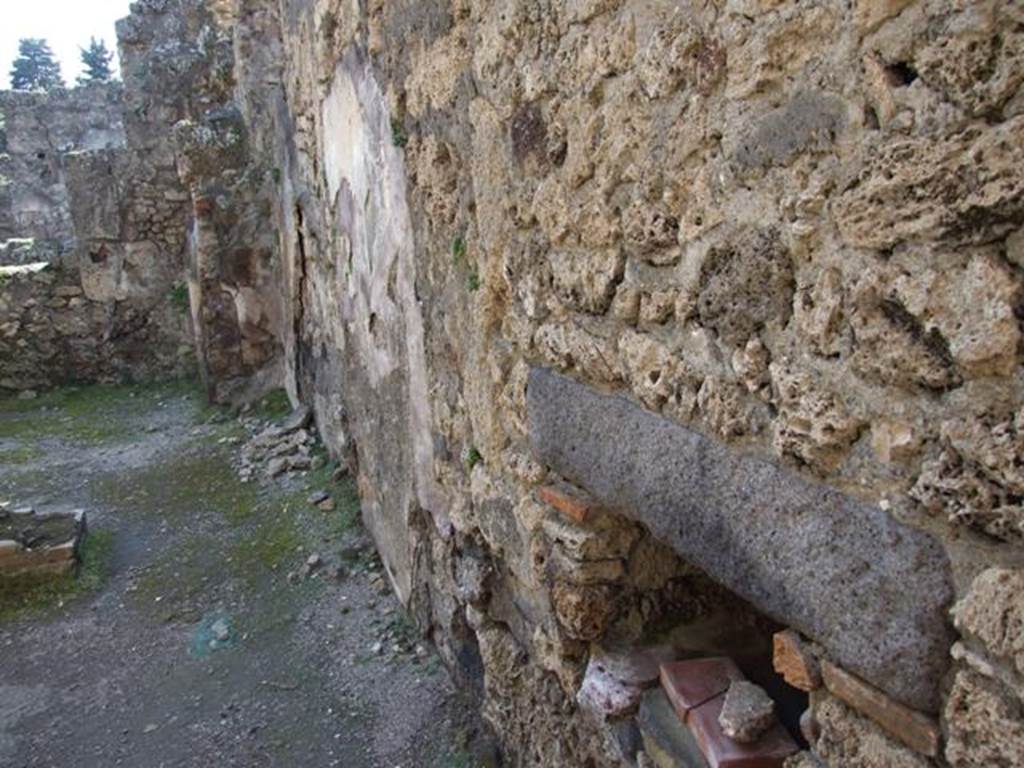 VII.14.9 Pompeii.  March 2009.  Room 8.  West wall looking south, into room 7.