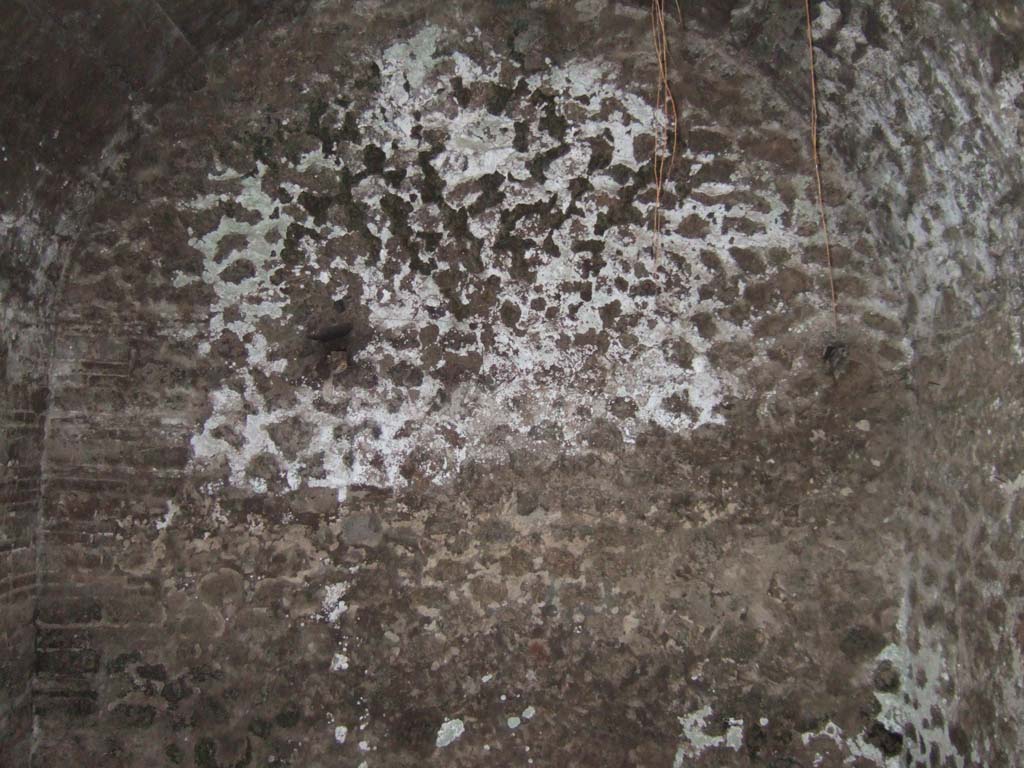 VII.14.9 Pompeii. December 2005. Room 10, west wall of bath suite.  