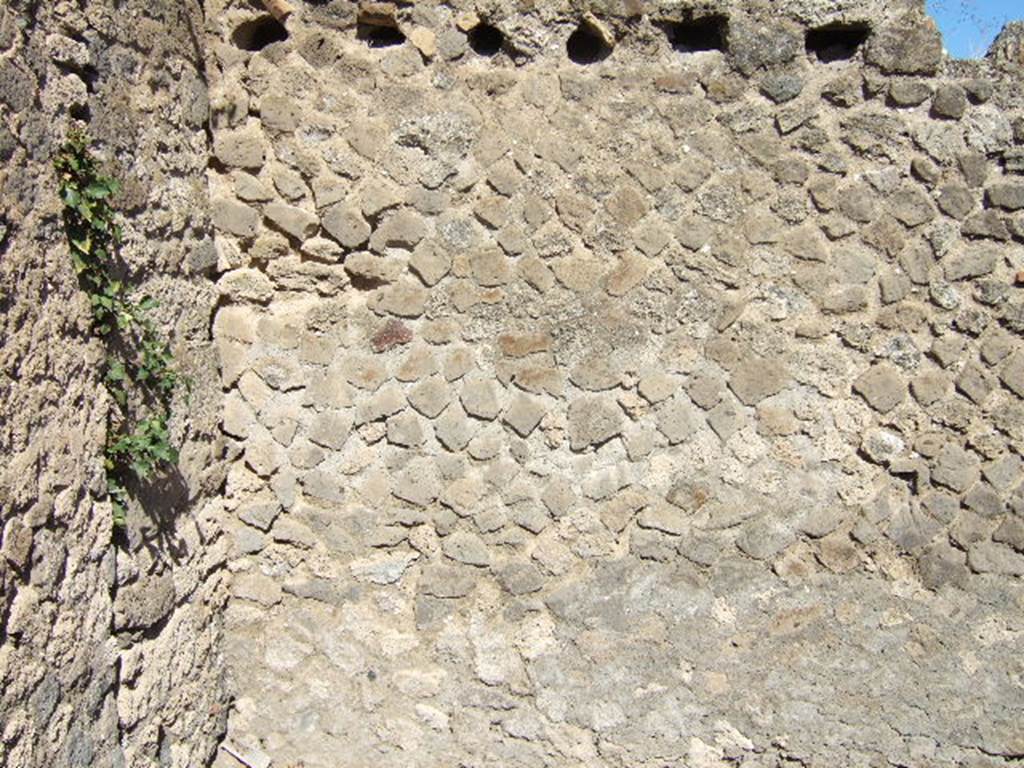 VII.14.20 Pompeii. September 2005. Looking towards upper north-east corner of rear room.