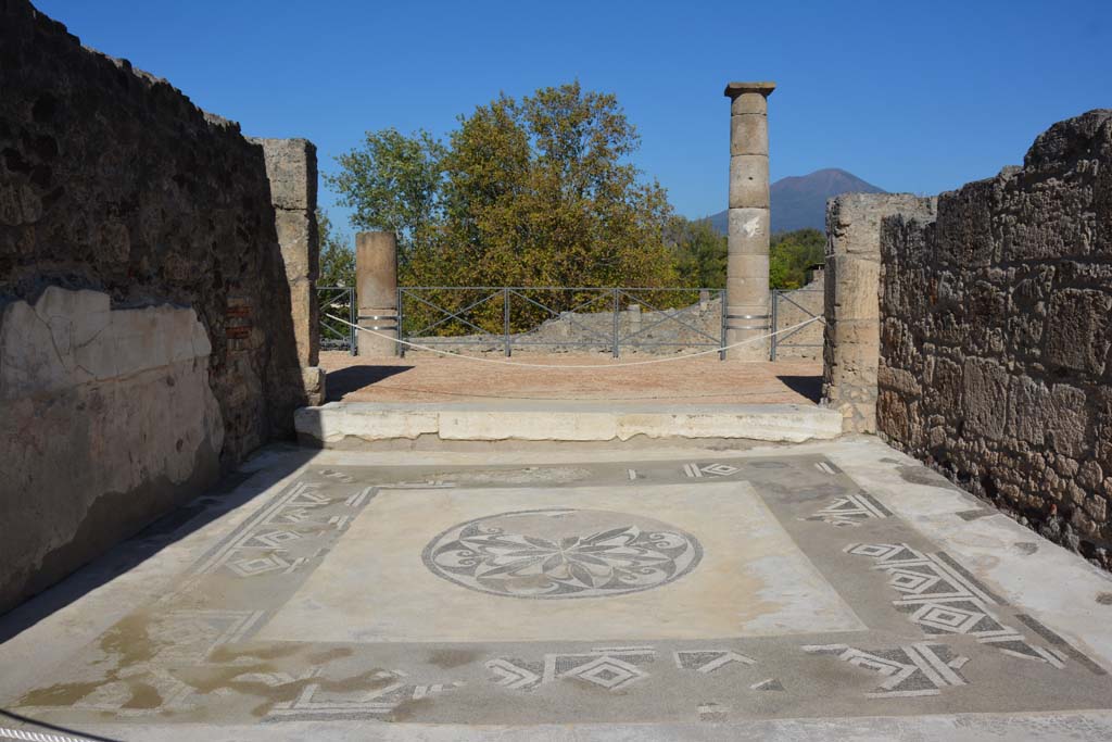 VII.15.2 Pompeii. October 2019. Looking north across mosaic in tablinum.
Foto Annette Haug, ERC Grant 681269 DÉCOR.