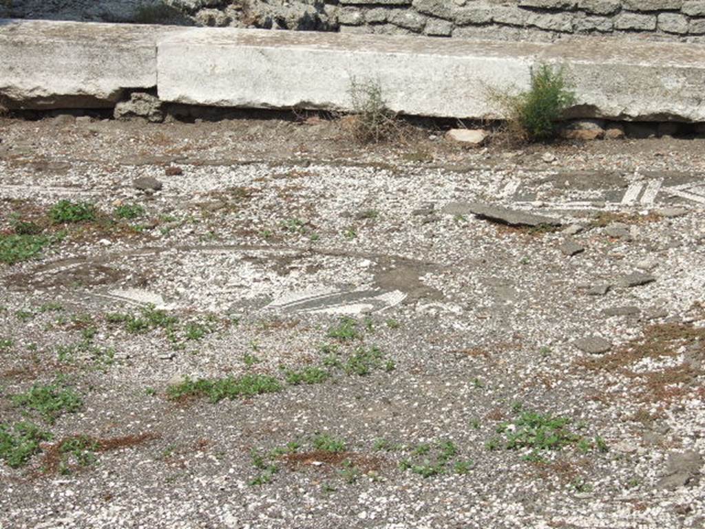 VII.15.2 Pompeii. September 2005. Detail of mosaic floor in Tablinum.
