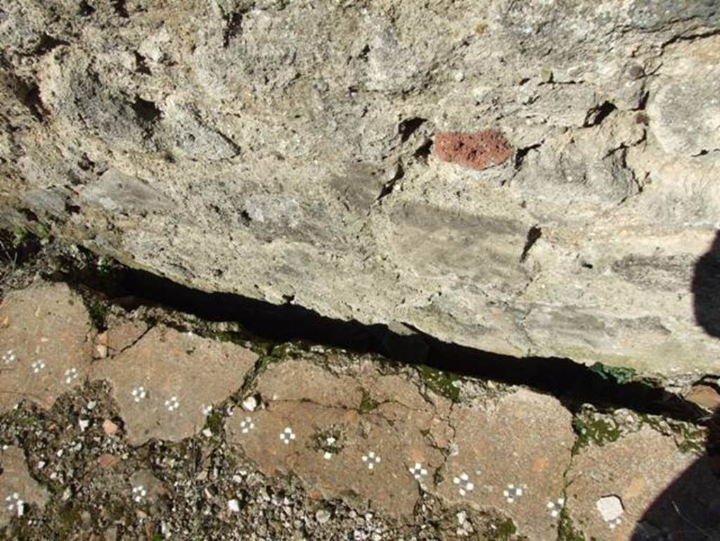 VII.15.2 Pompeii.  March 2009. Caldarium.  North wall.  Remains of hollow walls for hot air and decorated hypocaustic cocciopesto floor.