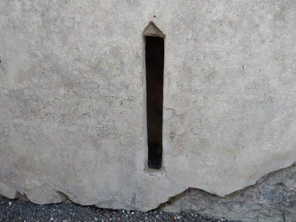 VII.15.2 Pompeii. May 2018. Detail from south wall of room on east side of entrance corridor.
Photo courtesy of Buzz Ferebee.