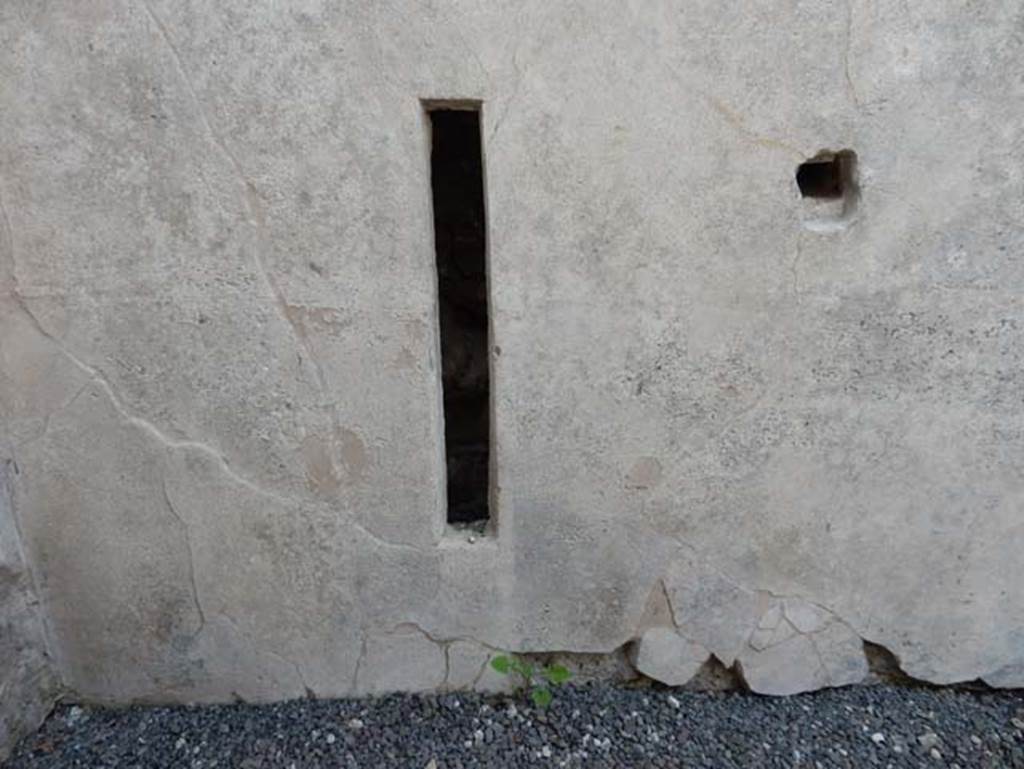 VII.15.2 Pompeii. May 2018. Detail from south wall of room on east side of entrance corridor.
Photo courtesy of Buzz Ferebee.