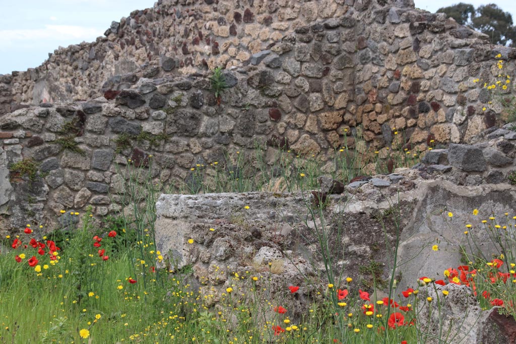 VII.16.10 Pompeii. May 2024. Looking towards west wall of room in centre of north wall of atrium. Photo courtesy of Klaus Heese.