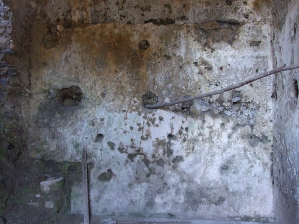 VII.16.13 Pompeii.  March 2009. Room 47, east wall.