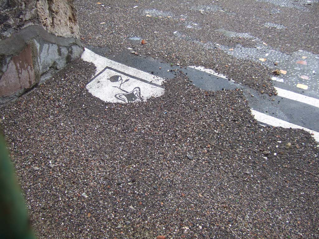 VII.16.13 Pompeii. December 2005. Vestibule 1, with entrance mosaic.