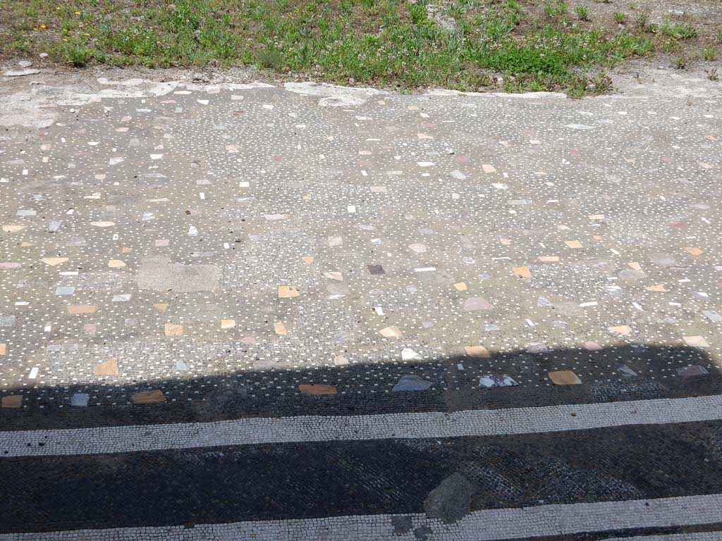 VII.16.13 Pompeii. June 2019. Room 2, looking west across atrium flooring from entrance doorway. 
Photo courtesy of Buzz Ferebee.

