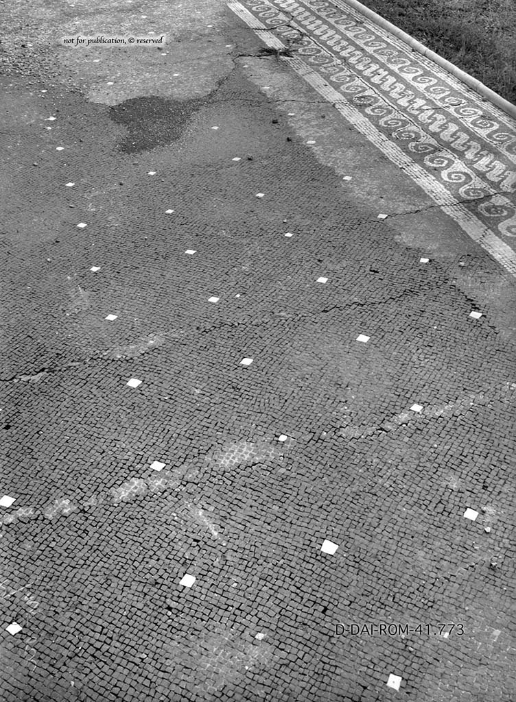 VII.16.22 Pompeii. c.1930. Mosaic flooring in atrium, and border of impluvium (top-right). 
DAIR 41.773. Photo © Deutsches Archäologisches Institut, Abteilung Rom, Arkiv. 
See Pernice, E.  1938. Pavimente und Figürliche Mosaiken: Die Hellenistische Kunst in Pompeji, Band VI. Berlin: de Gruyter, (p.115, and taf. 49.1 above).
