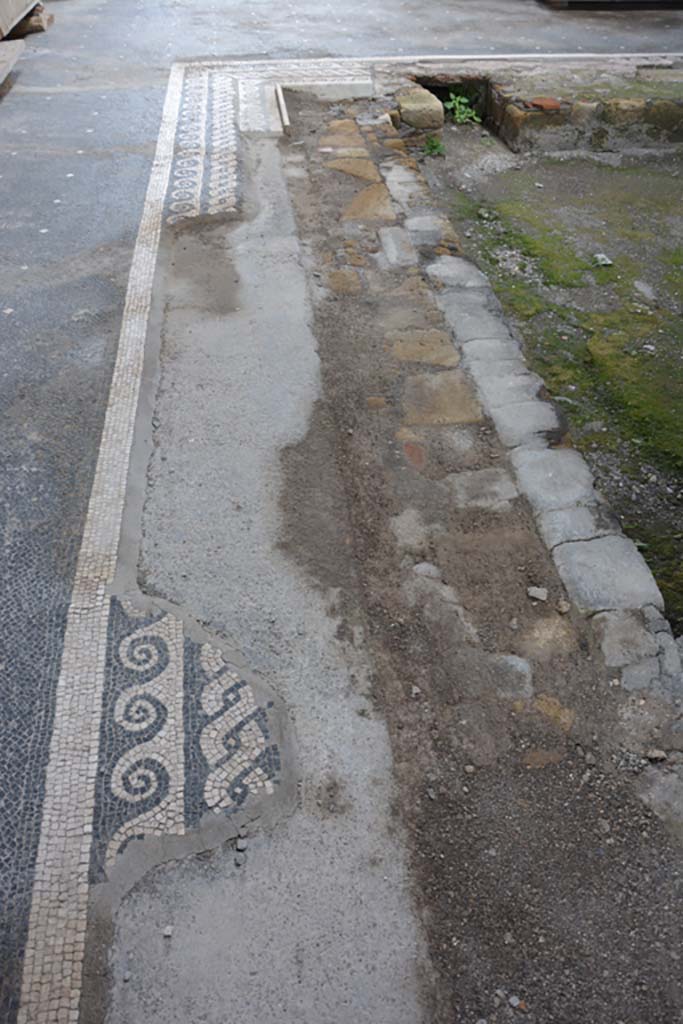 VII.16.22 Pompeii. October 2018. Looking east along mosaic on north side of impluvium. 
Foto Annette Haug, ERC Grant 681269 DÉCOR.

