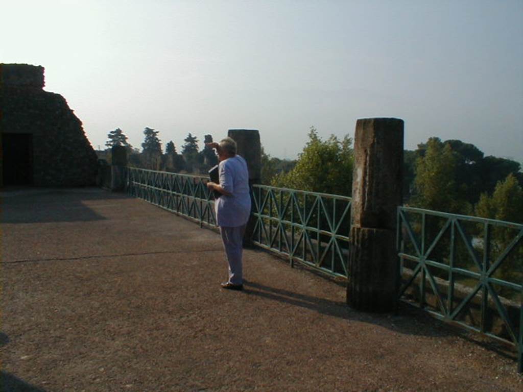 VII.16.17-22 Pompeii. September 2004. Looking south-west across upper terrace.