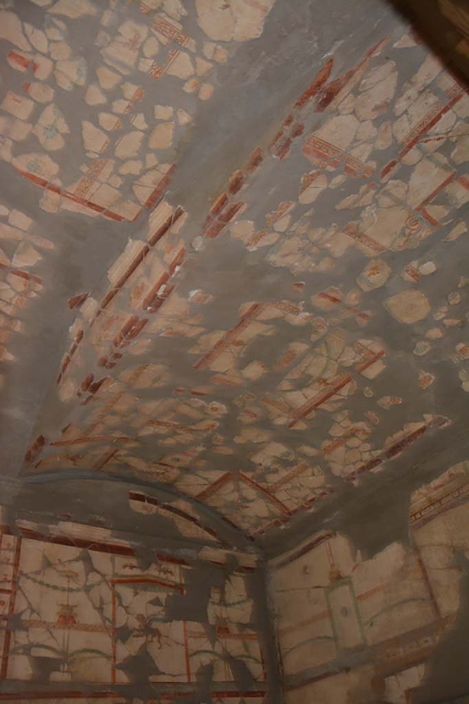 VII.16.22 Pompeii. October 2018. Cubiculum 49, alcove at west end of ceiling.
Foto Annette Haug, ERC Grant 681269 D�COR.

