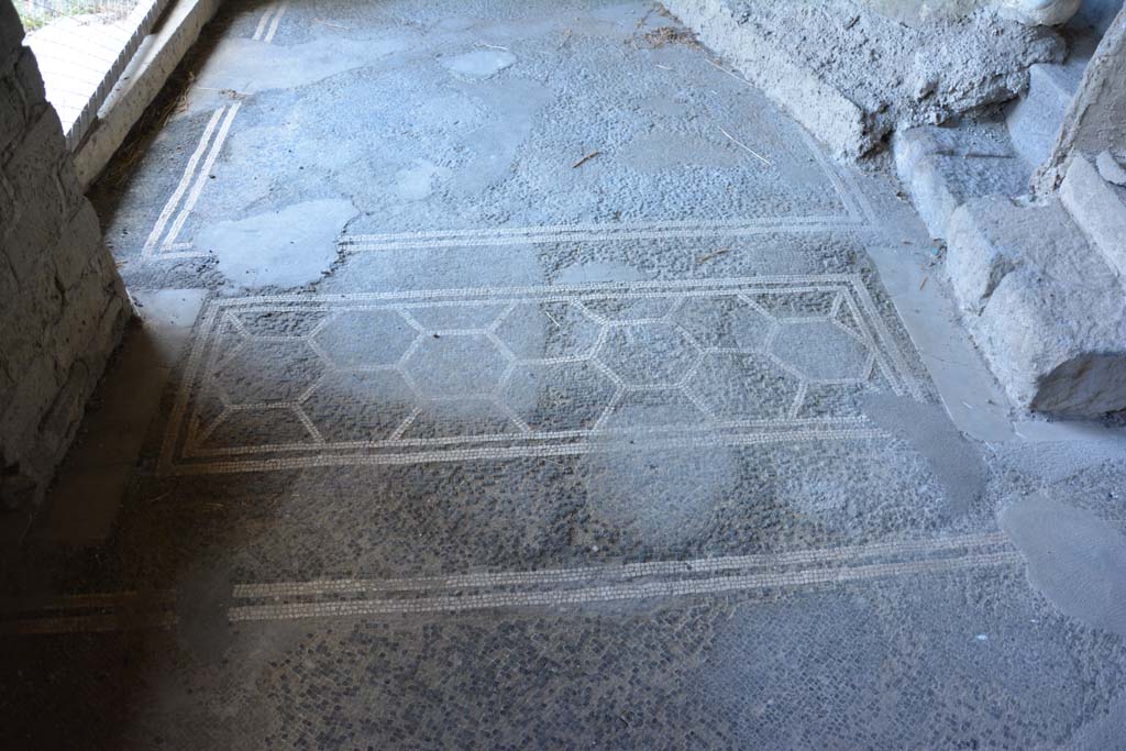 VII.16.22 Pompeii. October 2018. Looking north across doorway threshold onto landing 55 near staircase 54 with plaster-cast.
Foto Annette Haug, ERC Grant 681269 D�COR.

