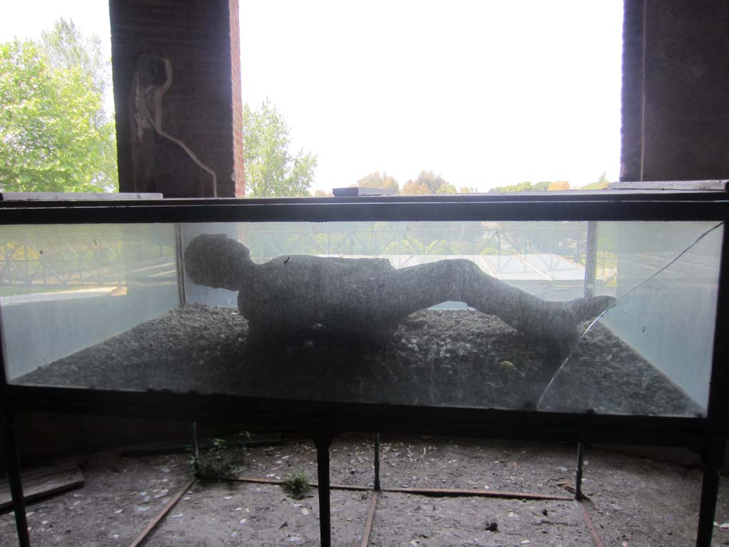 VII.16.17-22 Pompeii. May 2012. 
Oecus 62, looking west towards a plaster cast made of a body, in oecus. Photo courtesy of Marina Fuxa.
