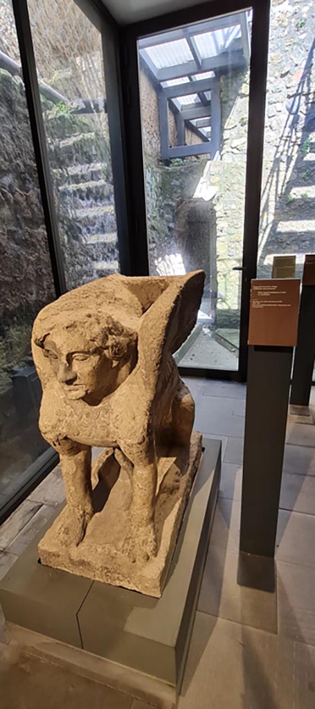 VIII.1.4 Antiquarium. April 2022.
Tufa sphynx-shaped tombstone, re-used as a kerbstone, found at the farm of Fondo Prisco, Boscoreale.
Photo courtesy of Giuseppe Ciaramella.

