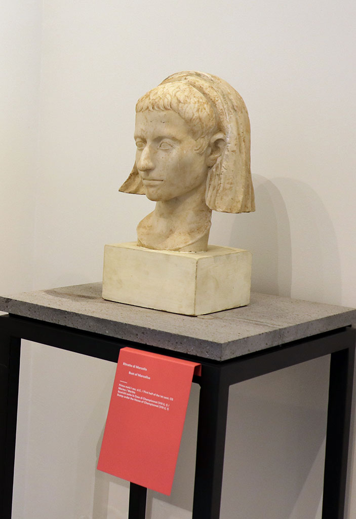 VIII.1.4 Pompeii. February 2021. 
Marble bust of Marcellus, found in the dump under the House of Championnet.
Photo courtesy of Fabien Bi�vre-Perrin (CC BY-NC-SA).
(Note: according to Maiuri, p.106 above, this was found in 1937 among the old debris of the Temple of Venus).


