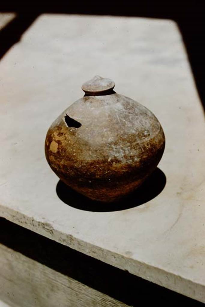 VIII.1.4 Pompeii Antiquarium. 1961. Terracotta money box, as shown in Gusman's drawing? Photo by Stanley A. Jashemski.
Source: The Wilhelmina and Stanley A. Jashemski archive in the University of Maryland Library, Special Collections (See collection page) and made available under the Creative Commons Attribution-Non-Commercial License v.4. See Licence and use details. 
J61f0799
