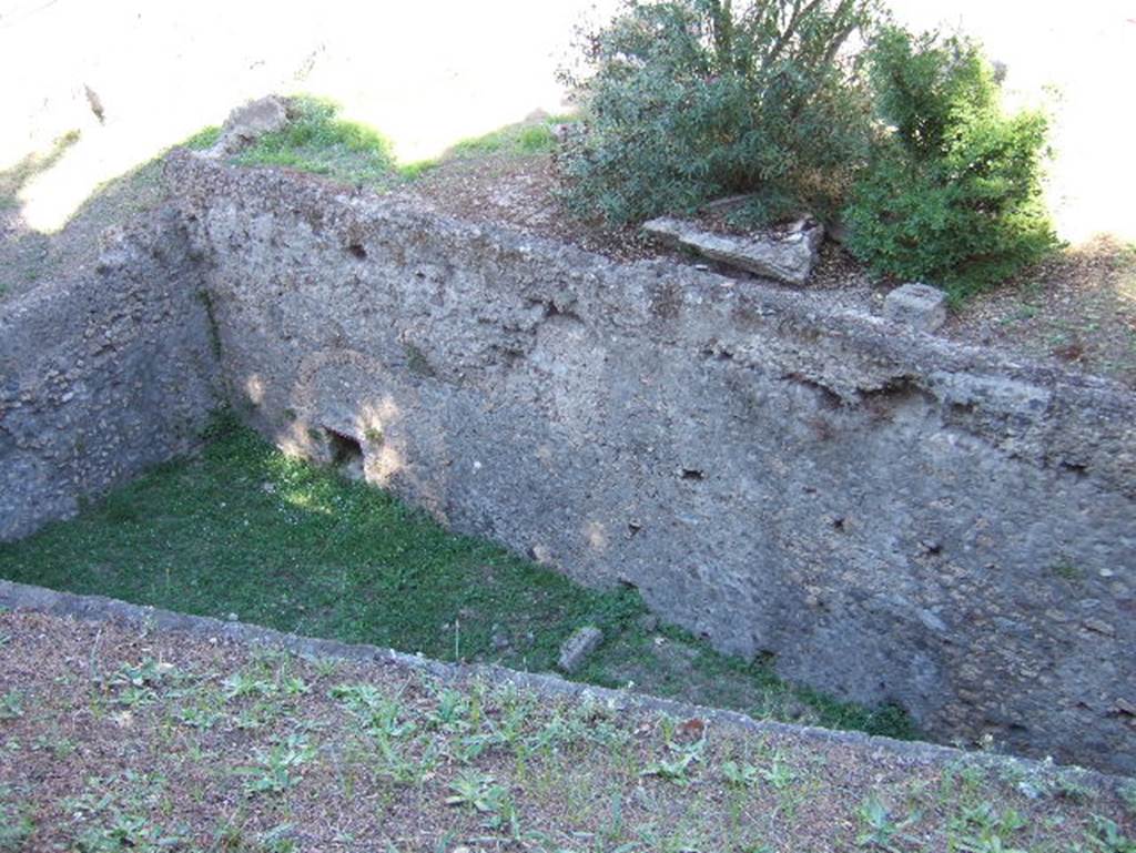 VIII.1.a Pompeii. September 2005. Garden at north end of portico.