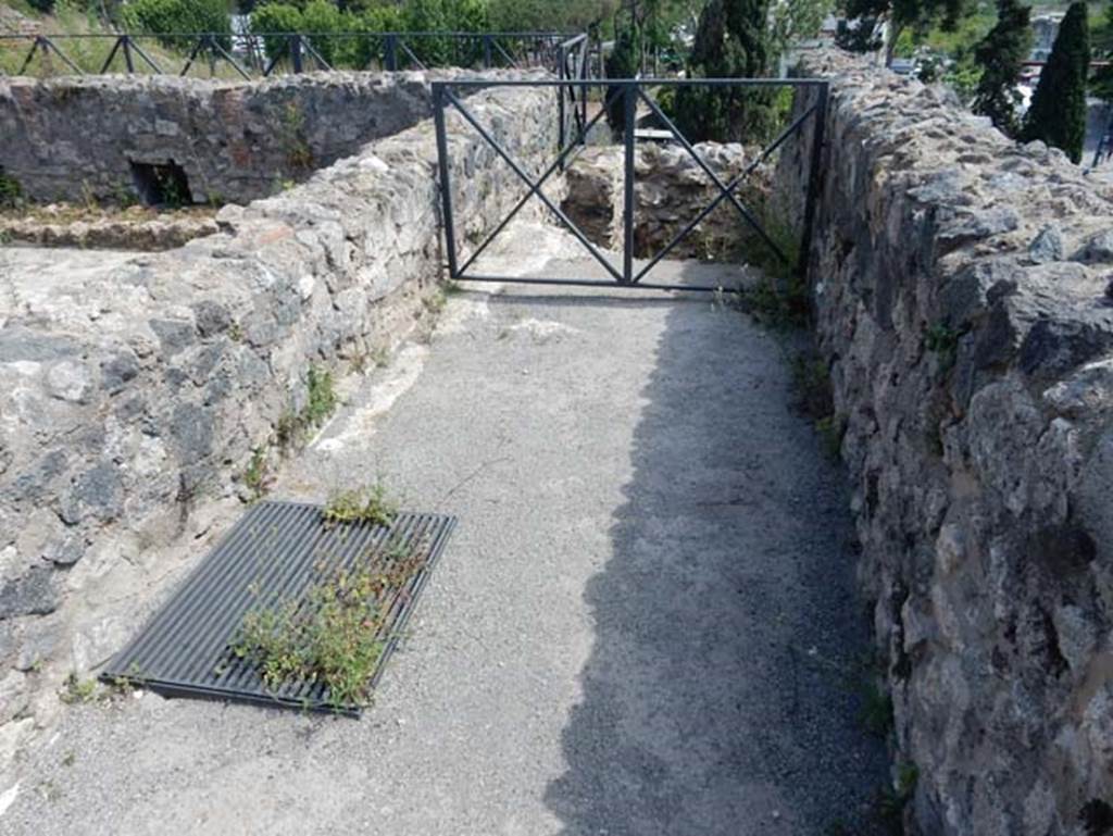 VIII.2.1 Pompeii. May 2018.  Looking south along west side of peristyle garden. Photo courtesy of Buzz Ferebee.