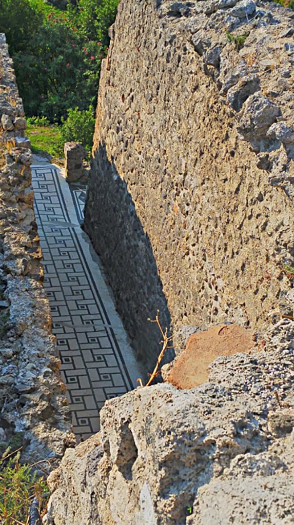 VIII.2.1 Pompeii. 2017/2018/2019.
Looking south along mosaic floor of corridor 38 or (α), on lower level 1.
The mosaic threshold of the doorway into the room 35 with oven, is on the west side of the south end.
Photo courtesy of Giuseppe Ciaramella.
