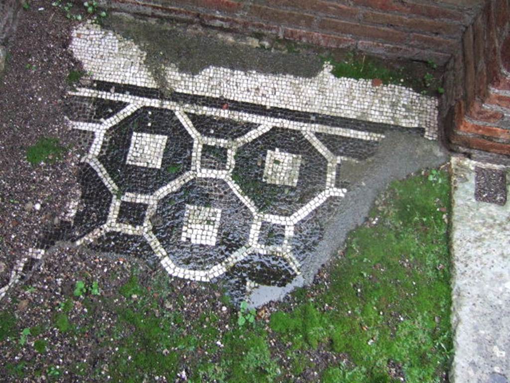 VIII.2.1 Pompeii. December 2005. Mosaic floor.