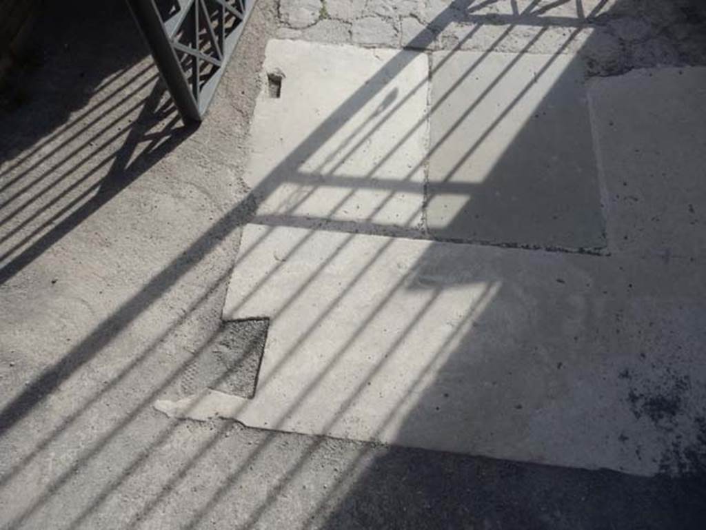 VIII.2.14 Pompeii. May 2017. Detail of vestibule flooring. Photo courtesy of Buzz Ferebee.