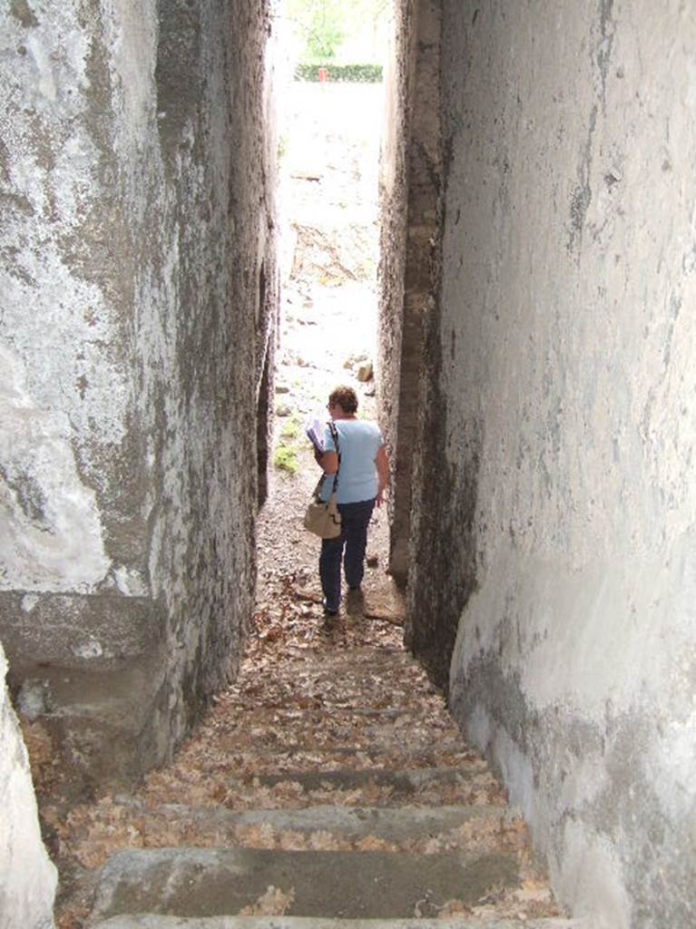 VIII.2.39 Pompeii.  May 2006. Stairs to first lower floor, looking south.