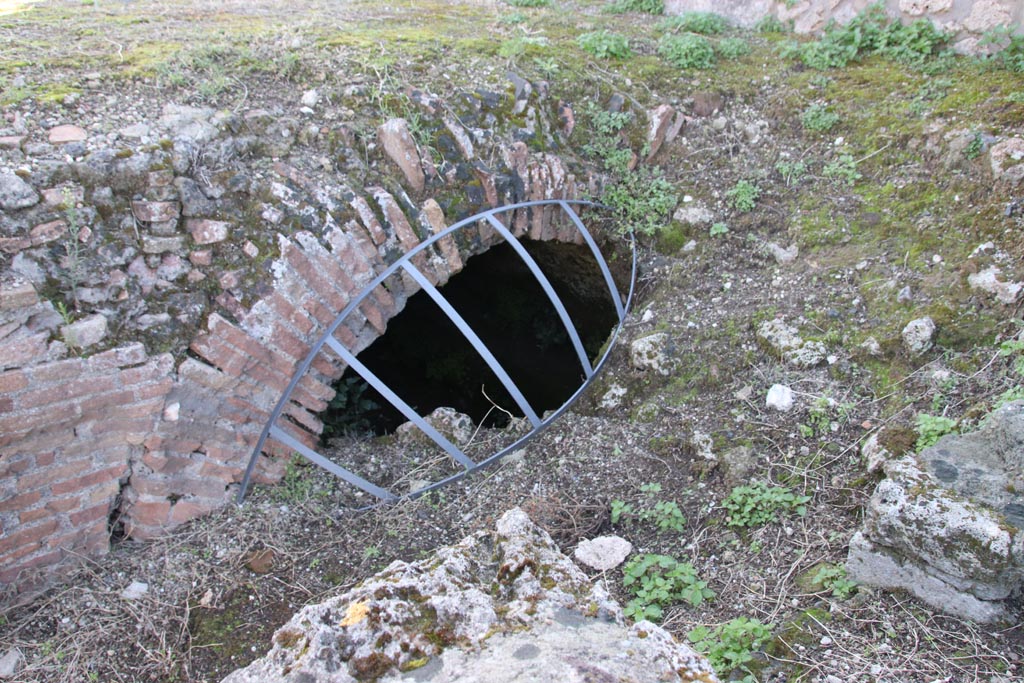 VIII.3.1 Pompeii. October 2022. Remains of steps to podium. Photo courtesy of Klaus Heese. 