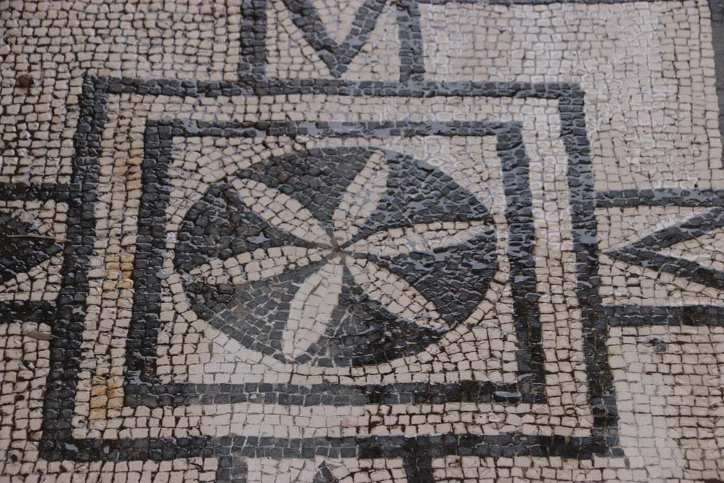 VIII.3.8 Pompeii. October 2020. Detail of mosaic in corridor/fauces. Photo courtesy of Klaus Heese. 