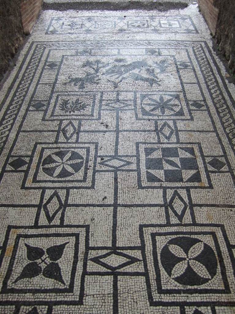 VIII.3.8 Pompeii. December 2005. Mosaic in entrance corridor.