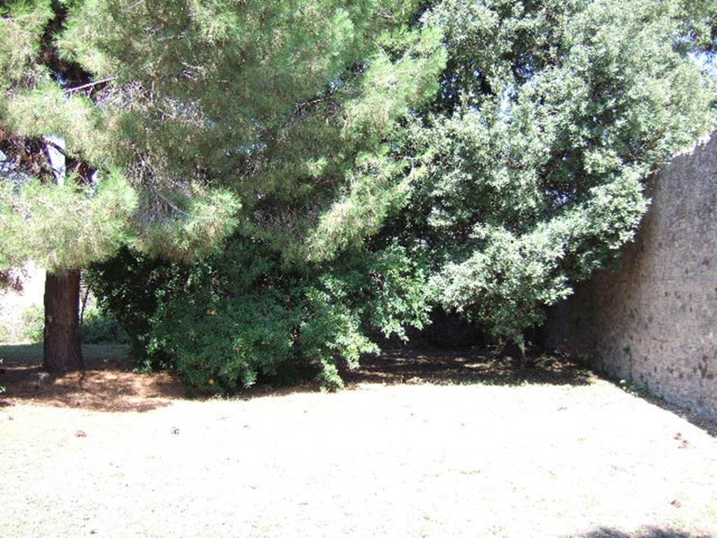 VIII.3.14 Pompeii. September 2005. Looking north from oecus fenestratum, across garden area.

