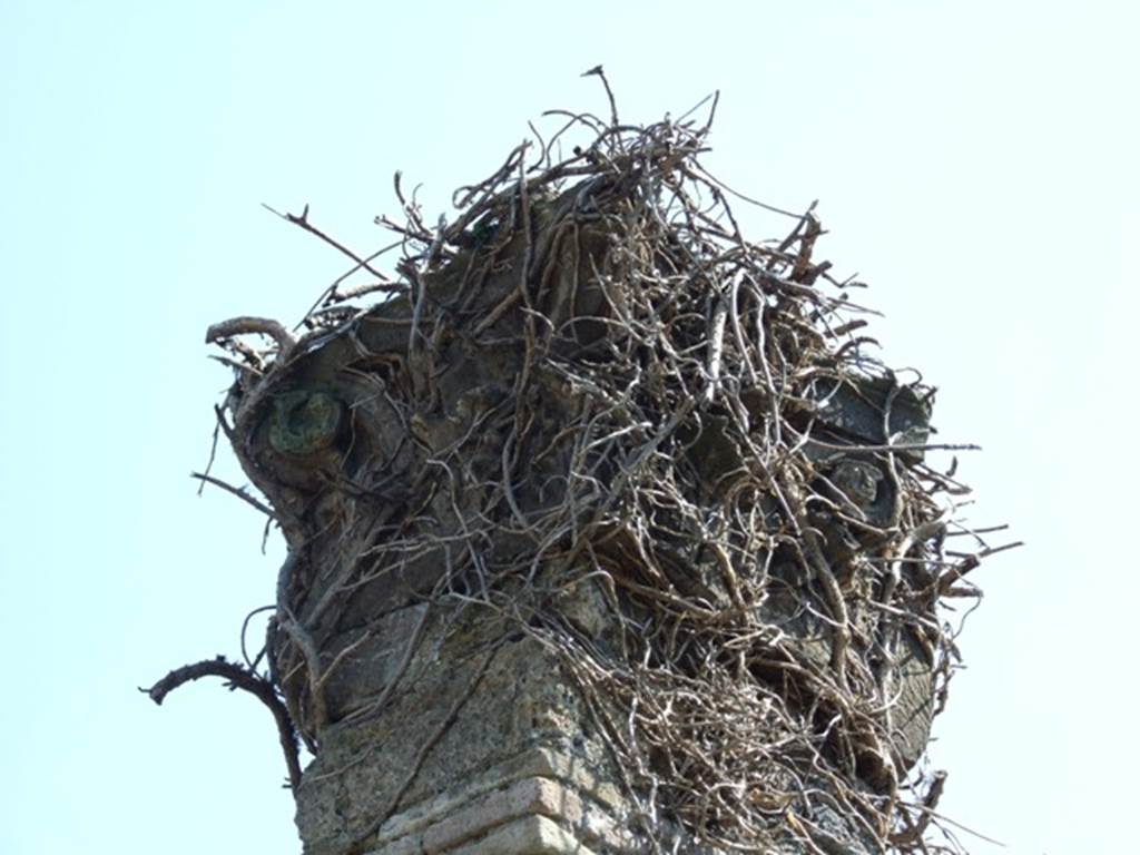 VIII.4.15 Pompeii. March 2009. Room 15, capital on south side of exedra entrance.