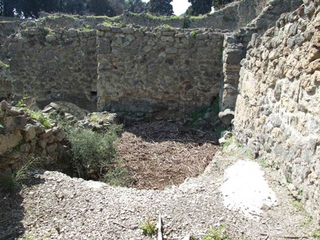 VIII.4.15 Pompeii.  March 2009.   Remains of Room 16, and lower level.