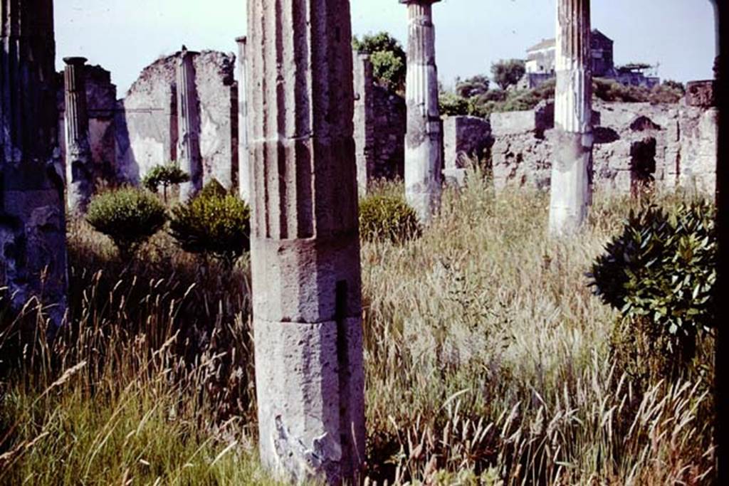 VIII.4.15 Pompeii, 1978. Looking north-east across peristyle garden. Photo by Stanley A. Jashemski.   
Source: The Wilhelmina and Stanley A. Jashemski archive in the University of Maryland Library, Special Collections (See collection page) and made available under the Creative Commons Attribution-Non Commercial License v.4. See Licence and use details.
J78f0235
According to Wilhelmina, the vertical cuts in the columns show where a wooden fence had been inserted.
See Jashemski, W. F., 1993. The Gardens of Pompeii, Volume II: Appendices. New York: Caratzas, p. 213.
