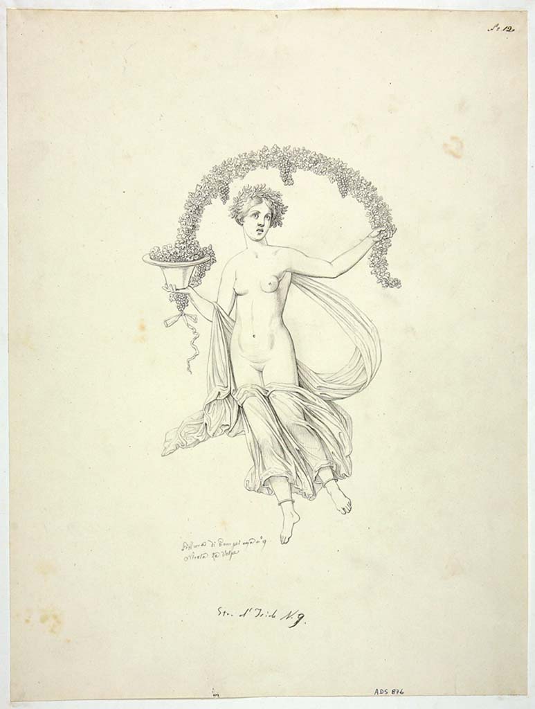 VIII.4.34 Pompeii. Drawing by Nicola La Volpe, of painting of Autumn, from red panel at west end of north wall of tablinum. 
She wore a yellow and sky-blue mantle and held a kalathos (vase) full of grapes and a long branch of grapes that stretched over her head.
See Helbig, W., 1868. Wandgem�lde der vom Vesuv versch�tteten St�dte Campaniens. Leipzig: Breitkopf und H�rtel, n. 988.
Now in Naples Archaeological Museum. Inventory number ADS 876.
Photo � ICCD. http://www.catalogo.beniculturali.it
Utilizzabili alle condizioni della licenza Attribuzione - Non commerciale - Condividi allo stesso modo 2.5 Italia (CC BY-NC-SA 2.5 IT)
