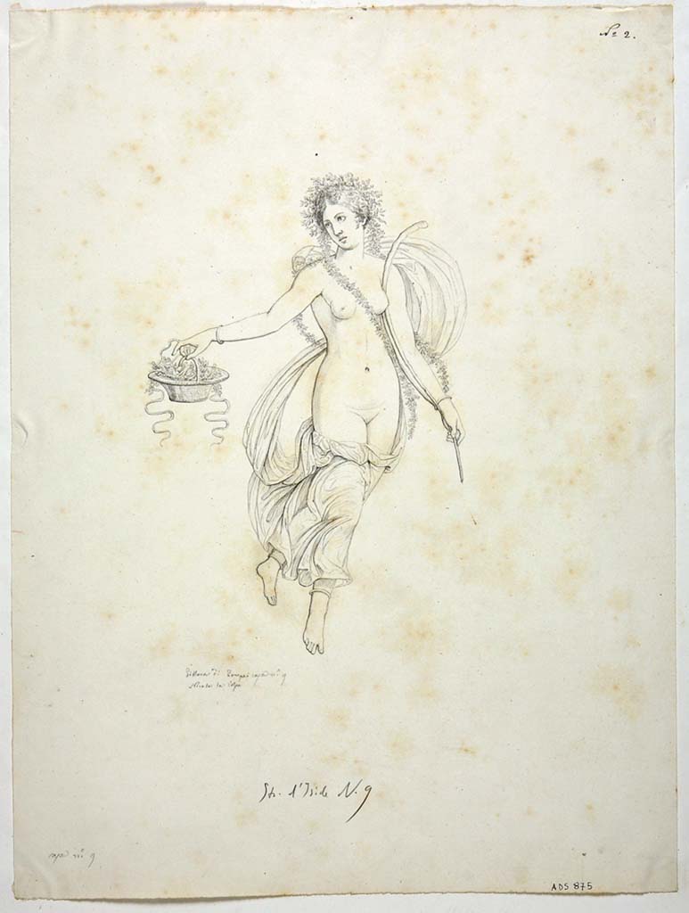 VIII.4.34 Pompeii. Drawing by Nicola La Volpe, of painting of Spring from a side panel, of a tablinum wall not known. 
In her right hand she held a basket with white flowers. In her left she held a branch.
See Helbig, W., 1868. Wandgem�lde der vom Vesuv versch�tteten St�dte Campaniens. Leipzig: Breitkopf und H�rtel, 978.
Now in Naples Archaeological Museum. Inventory number ADS 875.
Photo � ICCD. http://www.catalogo.beniculturali.it
Utilizzabili alle condizioni della licenza Attribuzione - Non commerciale - Condividi allo stesso modo 2.5 Italia (CC BY-NC-SA 2.5 IT)
