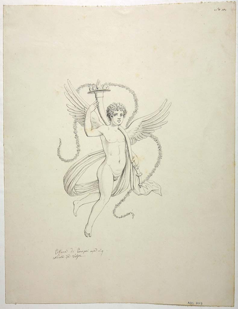 VIII.4.34 Pompeii. Drawing by Nicola La Volpe, of painting of Cupid in flight with a cornucopia and a long garland.
This was seen on an unknown wall in the tablinum. 
See Carratelli, G. P., 1990-2003. Pompei: Pitture e Mosaici: Vol. VIII. Roma: Istituto della enciclopedia italiana, p. 541.
Now in Naples Archaeological Museum. Inventory number ADS 879.
Photo � ICCD. http://www.catalogo.beniculturali.it
Utilizzabili alle condizioni della licenza Attribuzione - Non commerciale - Condividi allo stesso modo 2.5 Italia (CC BY-NC-SA 2.5 IT)
