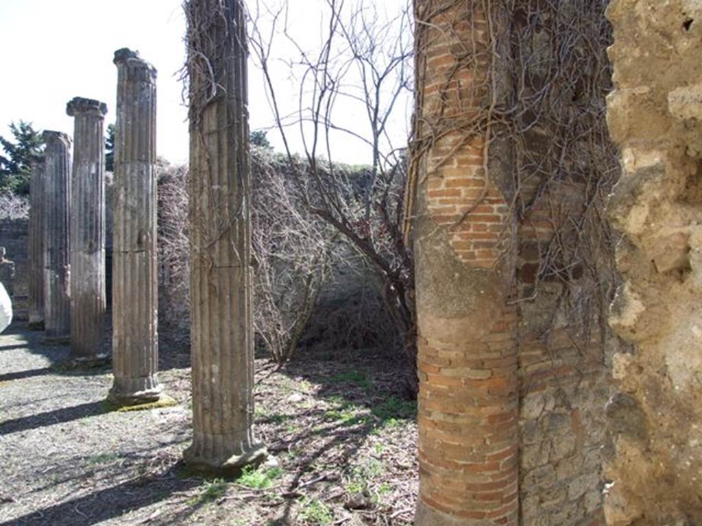VIII.5.9 Pompeii. March 2009. North Portico columns. Looking east.