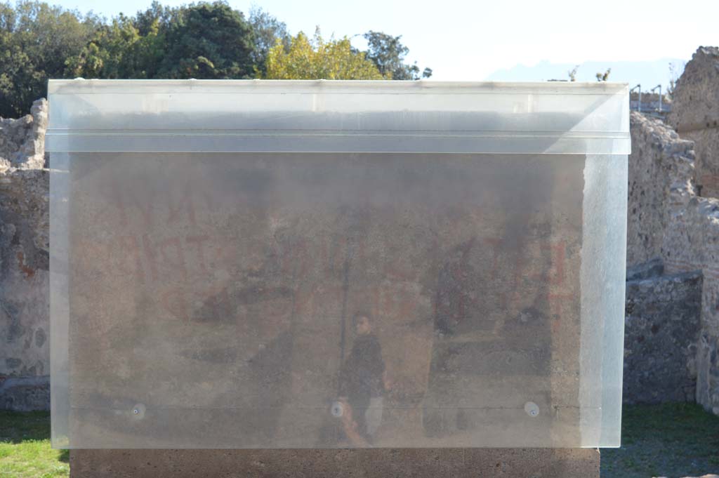 VIII.5.20 Pompeii, May 2017.  
Detail of �Eituns� on west pilaster between VIII.5.20 and VIII.5.19. (see also VIII.5.19).
Foto Taylor Lauritsen, ERC Grant 681269 D�COR.
